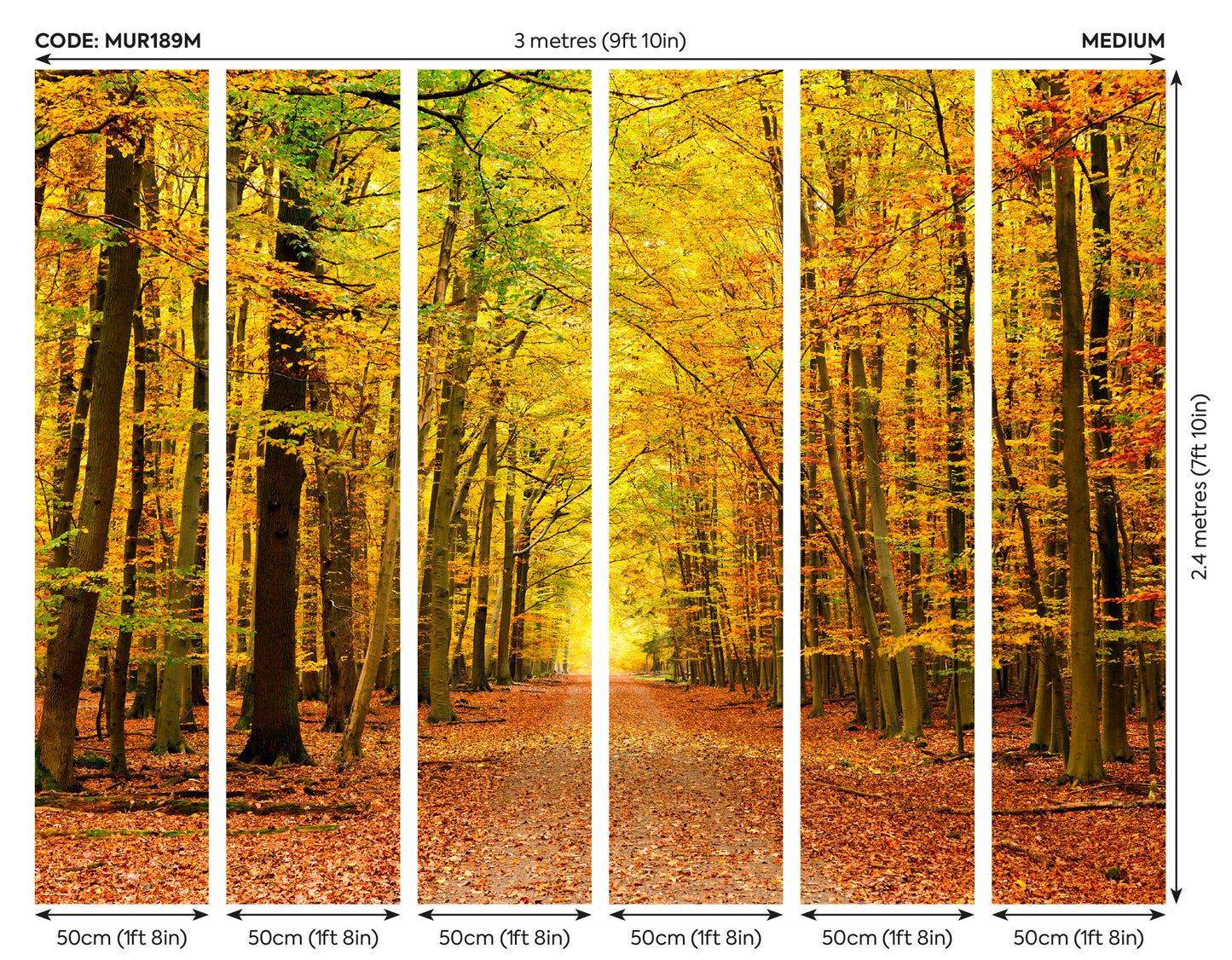 AUTUMN FOREST - Spice