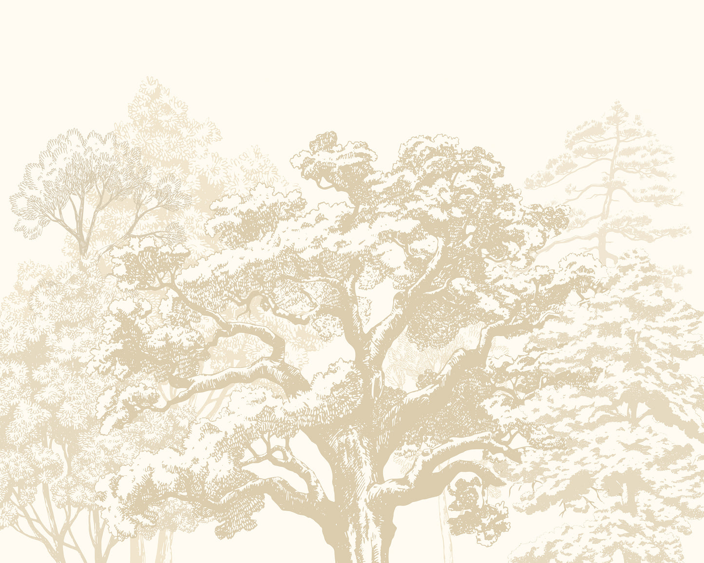 ETCHED TREES - Parchment