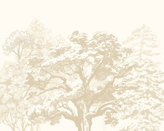 ETCHED TREES - Parchment
