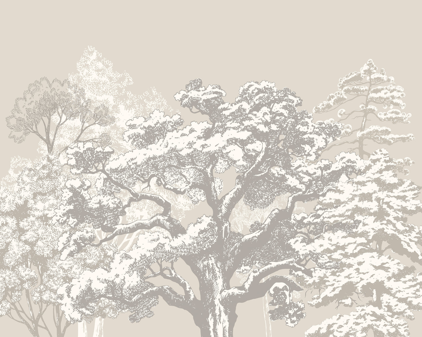 ETCHED TREES - Charcoal & Stone