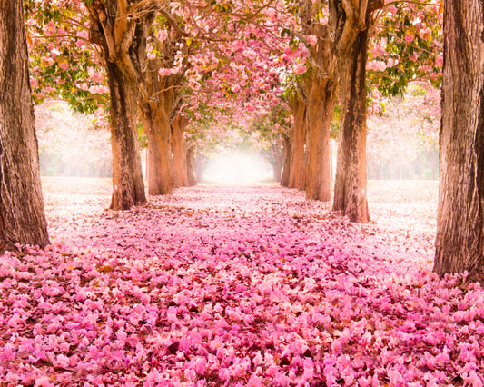 BLOSSOM TREES - Rose Pink