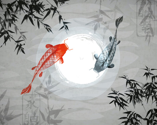 WATERCOLOUR KOI - Graphite