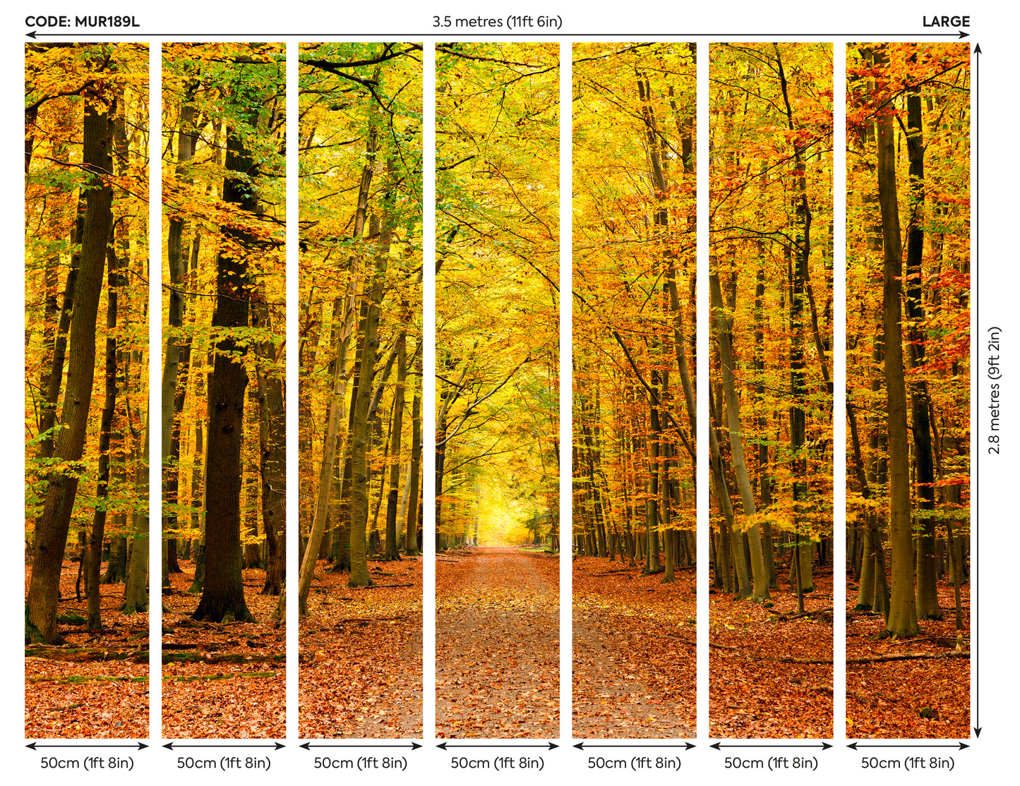 AUTUMN FOREST - Spice