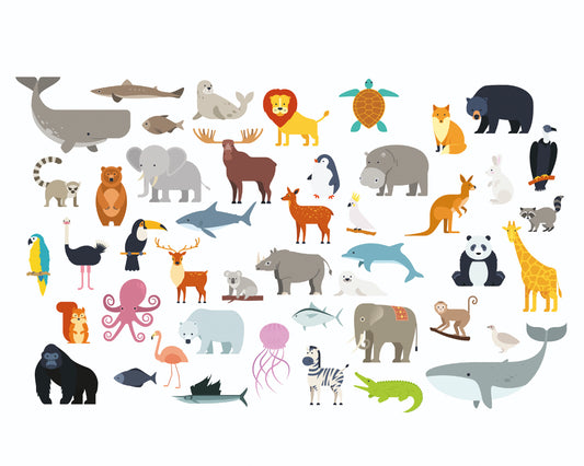ANIMAL COLLECTION - Multi