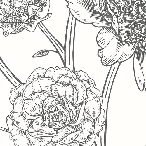 JACOBEAN ROSE TRAIL - Black & White