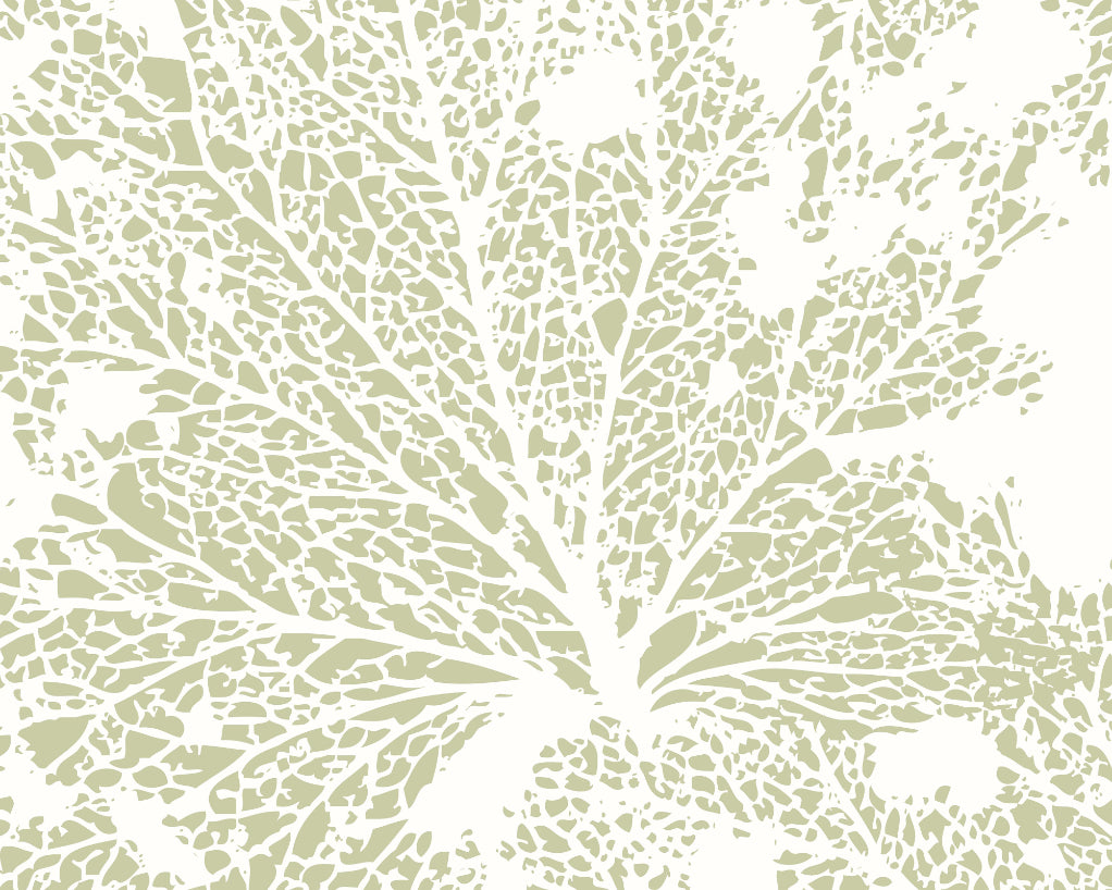 SKELETON LEAF - Sage Green
