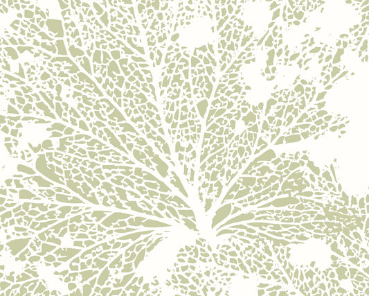 SKELETON LEAF - Sage Green