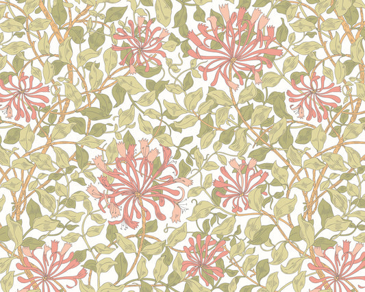 HONEYSUCKLE - Soft Coral