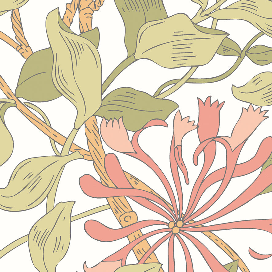 HONEYSUCKLE - Soft Coral
