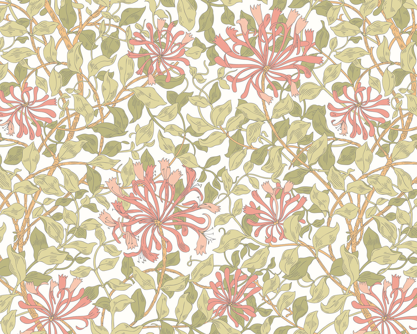 HONEYSUCKLE - Soft Coral