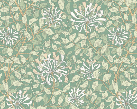 HONEYSUCKLE - Soft Jade