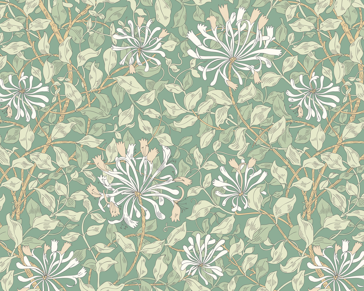 HONEYSUCKLE - Soft Jade