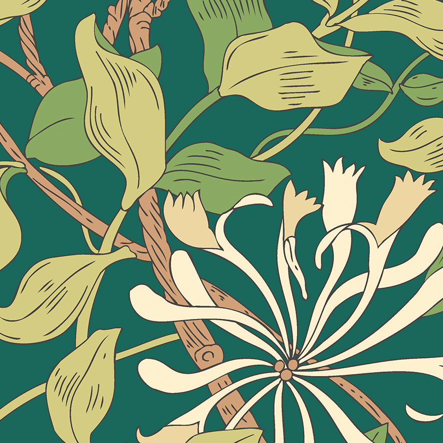 HONEYSUCKLE - Forest Green