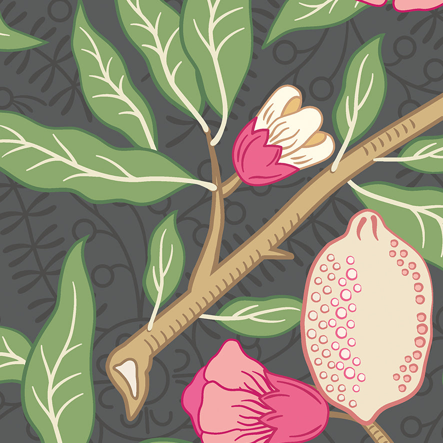 FRUIT AND FOLIAGE - Black and Rose Pink