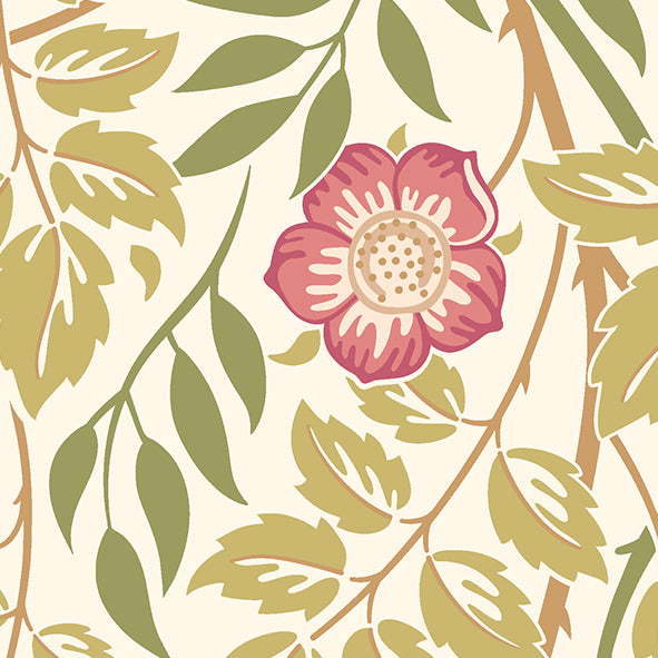 CASCADING ROSEHIP - Rose Pink